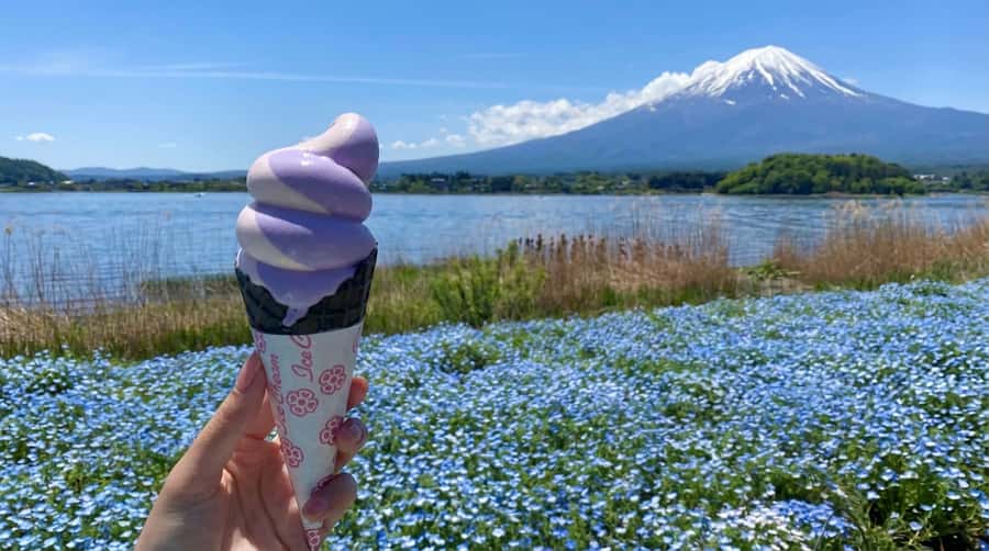 Tokyo: Full-Day Tour of the Six Majestic Spots of Mt Fuji - Oishi Park at Kawaguchiko: flowers that change the whole mood