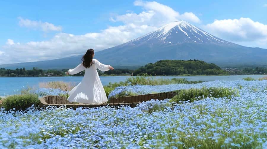 Tokyo: Full-Day Tour of the Six Majestic Spots of Mt Fuji - Price and value: what $45 really buys you