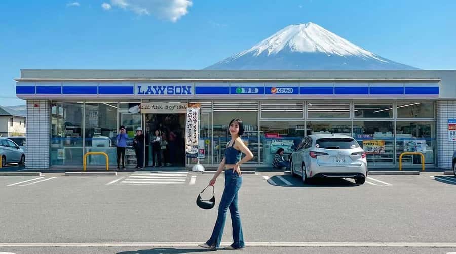 Tokyo: Full-Day Tour of the Six Majestic Spots of Mt Fuji - Who should book, and who should think twice