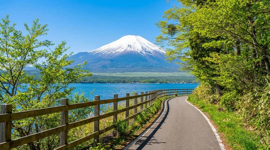 Tokyo: Full-Day Tour of the Six Majestic Spots of Mt Fuji - Hirano Beach: the morning-only mirror shot and swans