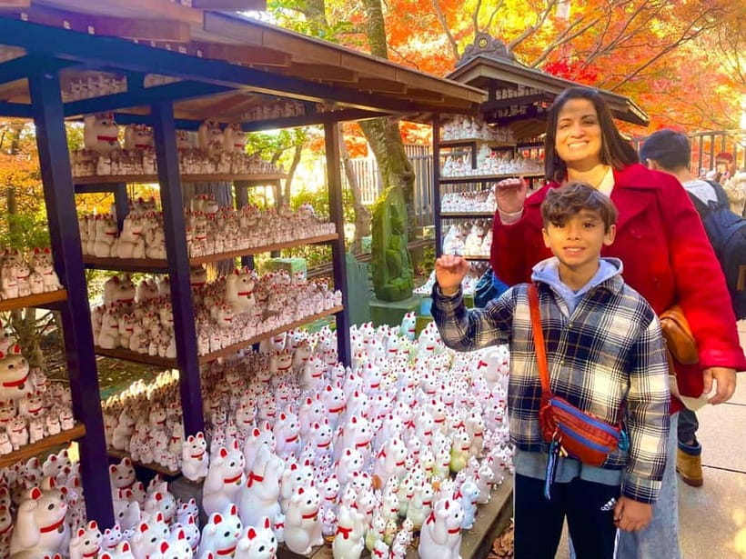 Tokyo: Gotokuji Cat Temple, Shinjuku Cat Cafe & 3D Cat Tour - Shinjuku’s Giant 3D Cat: the photo stop that sets the tone