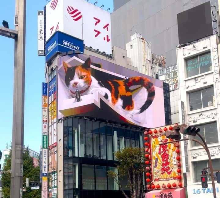 Tokyo: Gotokuji Cat Temple, Shinjuku Cat Cafe & 3D Cat Tour - Gotokuji Lucky Cat Temple: the real reason cat lovers come