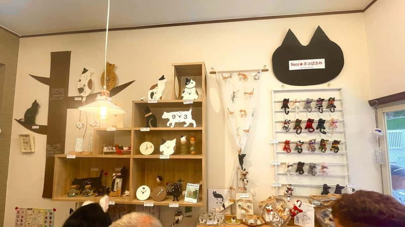 Tokyo: Gotokuji Cat Temple, Shinjuku Cat Cafe & 3D Cat Tour - Who this tour suits best, and who should skip it