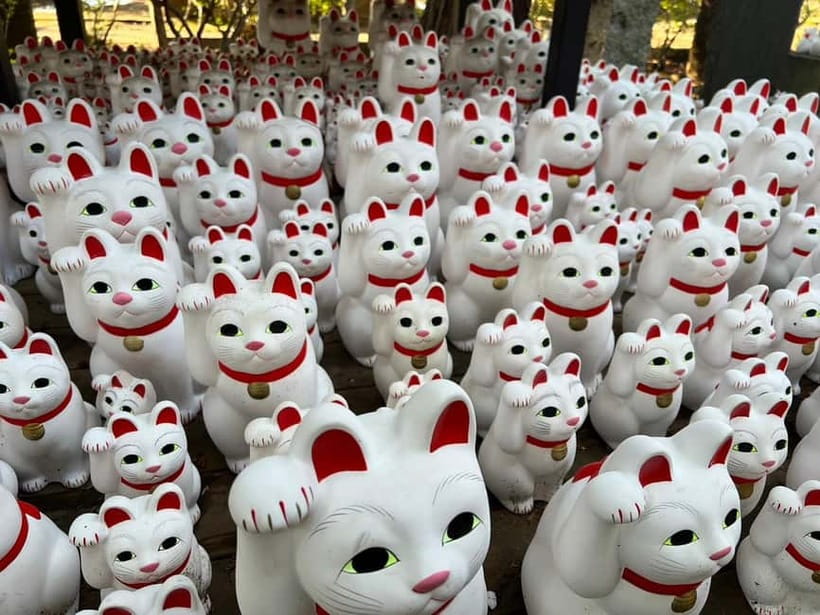 Tokyo: Gotokuji Culture Walk & Lucky Cat Temple Experience - Key things you will notice on this Gotokuji lucky cat tour