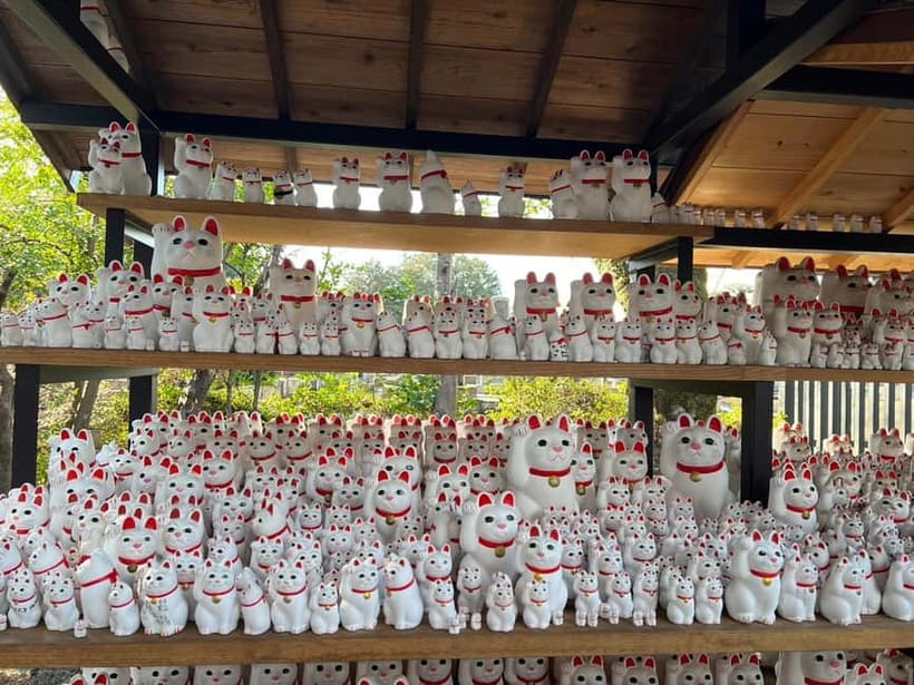 Tokyo: Gotokuji Culture Walk & Lucky Cat Temple Experience - Why the small group of 4 changes your experience