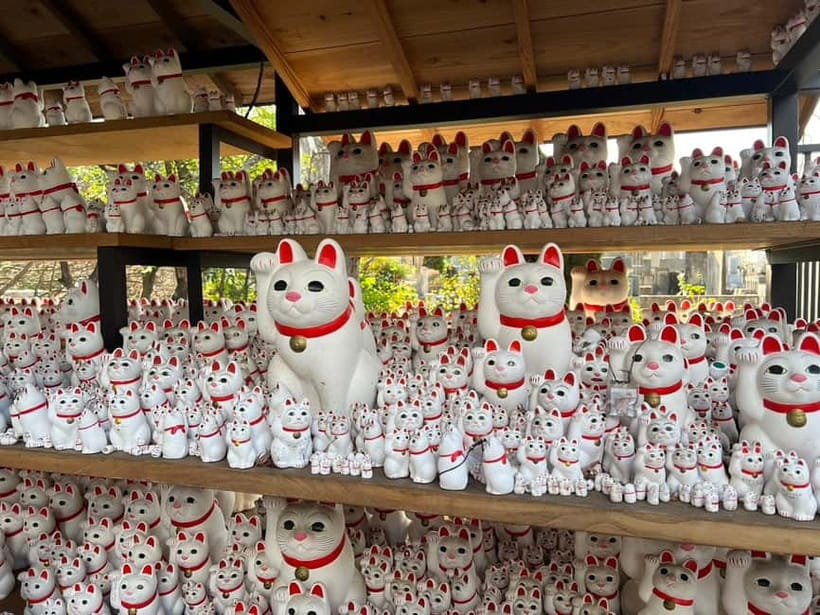 Tokyo: Gotokuji Culture Walk & Lucky Cat Temple Experience - Where Gotokuji fits in the Tokyo-area lucky cat world
