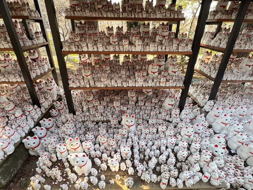 Tokyo: Gotokuji Culture Walk & Lucky Cat Temple Experience - The meeting point at Gotokuji Station, and why it matters