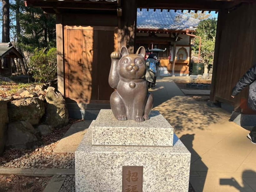 Tokyo: Gotokuji Culture Walk & Lucky Cat Temple Experience - Cat-shaped sweets: the fun side of a lucky-culture stop
