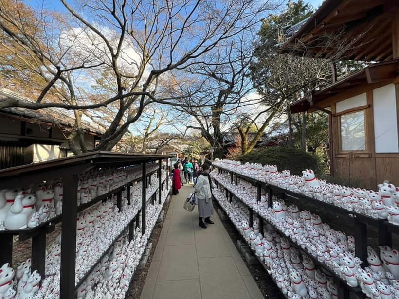 Tokyo: Gotokuji Culture Walk & Lucky Cat Temple Experience - Price and what makes the $47-per-person value feel fair