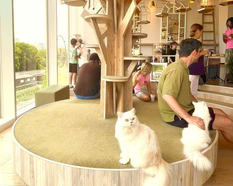 Tokyo: Gotokuji Lucky Cat Temple & Harajuku Cat Cafe Tour - Gotokuji Lucky Cat Temple, why it matters beyond photos