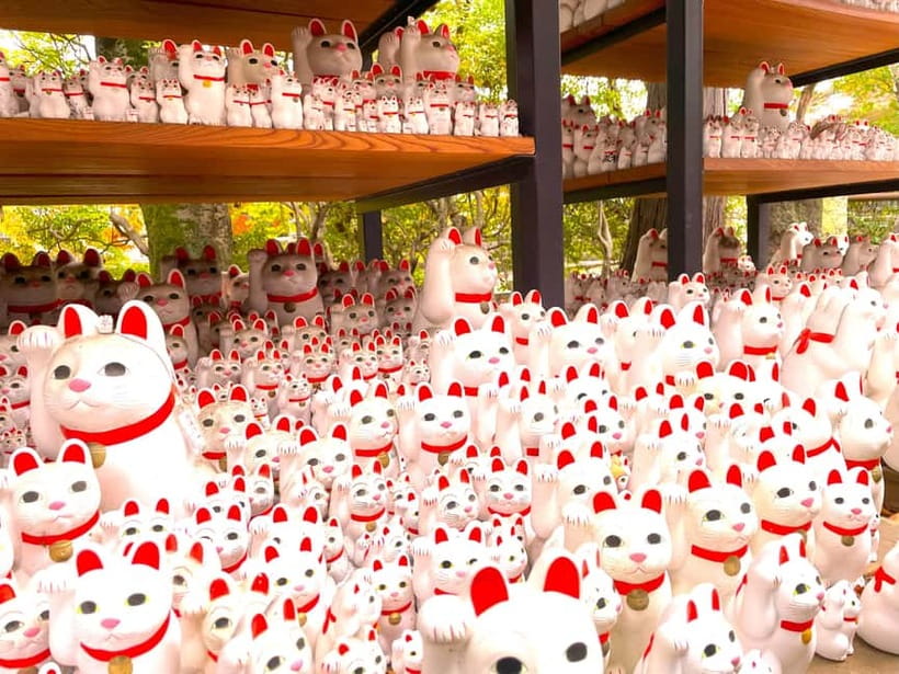 Tokyo: Gotokuji Lucky Cat Temple & Harajuku Cat Cafe Tour - The short train hop between Harajuku and Gotokuji stays manageable