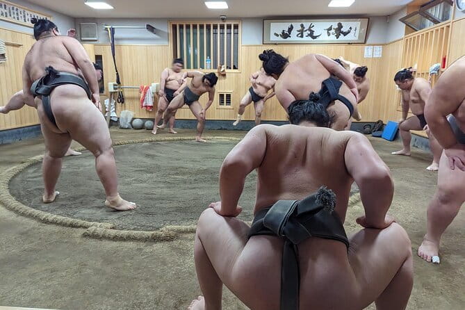 Tokyo: Gotokuji Lucky Cat Temple, Shinjuku Cat Cafe, 3D Giant Cat - Who this tour suits best