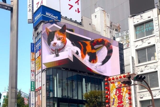 Tokyo: Gotokuji Lucky Cat Temple, Shinjuku Cat Cafe, 3D Giant Cat - The meeting point and how the day flows