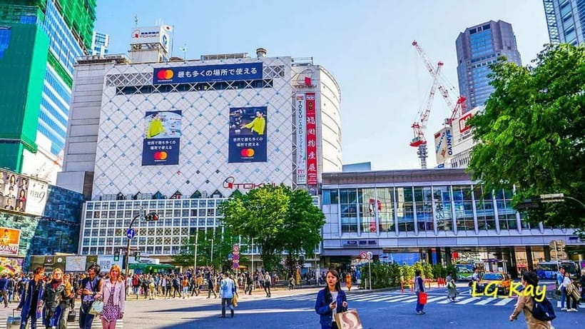 Tokyo: Guided Exploration with a Private Driver - How the 10 hours are likely paced, and how to plan your energy