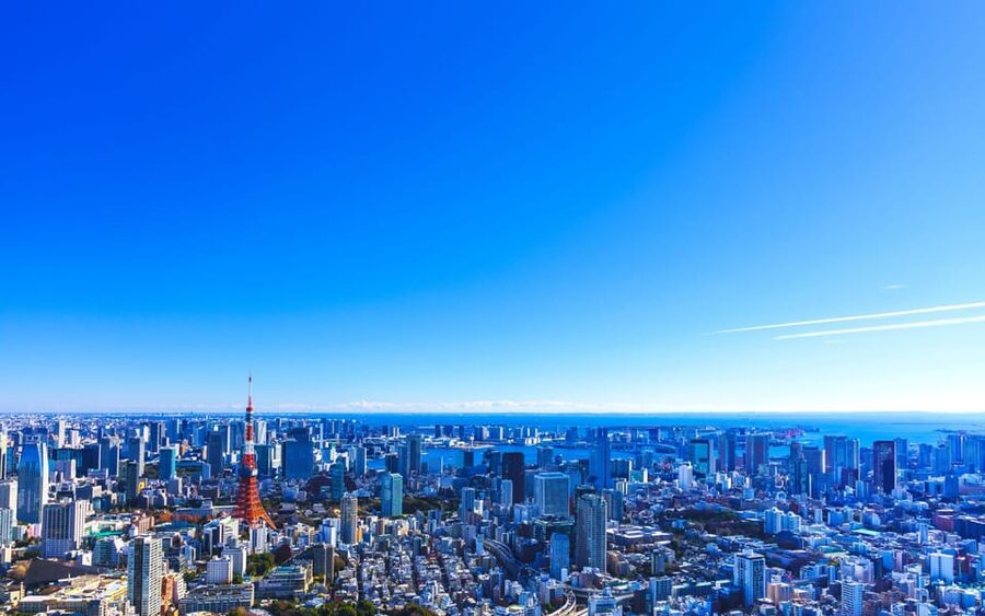 Tokyo: Guided Helicopter Ride - What you see from above, and why it hits differently
