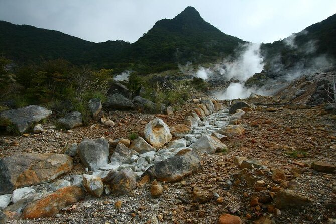 Tokyo Hakone : Mt.Fuji, Owakudani, Open Air Museum, Hakone Shrine - Tokyo to Hakone in 10 to 11 hours: what this day really feels like