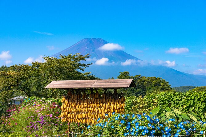 Tokyo Hakone : Mt.Fuji, Owakudani, Open Air Museum, Hakone Shrine - Who this Tokyo to Hakone day tour suits best
