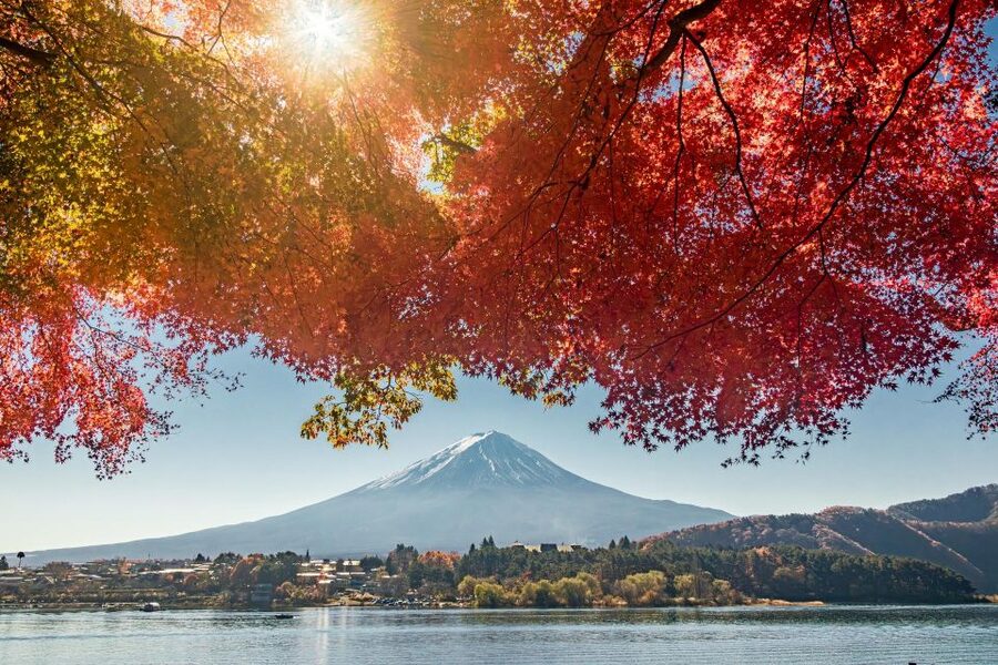 tokyo:Hakone Owakudani & Gotemba Premium Outlet 1d Tour - Peace Torii and Lake Ashi: Quick Views, Not a Long Detour