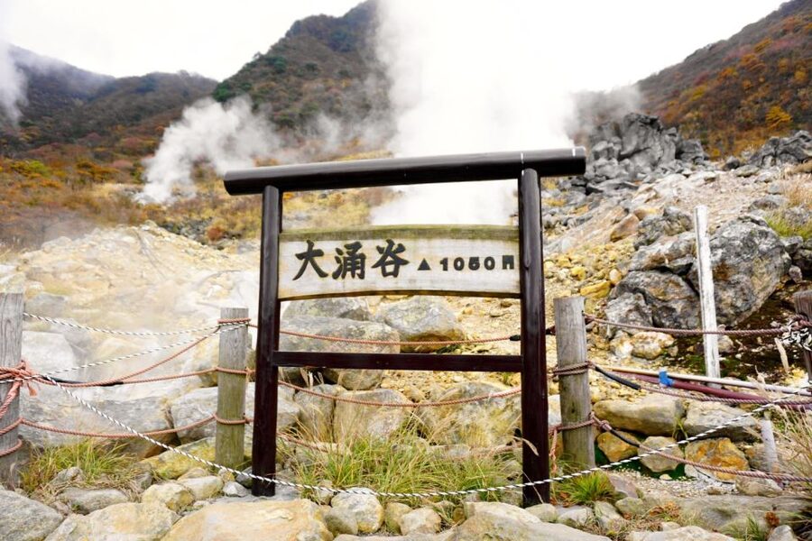 tokyo:Hakone Owakudani & Gotemba Premium Outlet 1d Tour - The Fuji-Region Bus Ride: Comfort Meets Sightseeing