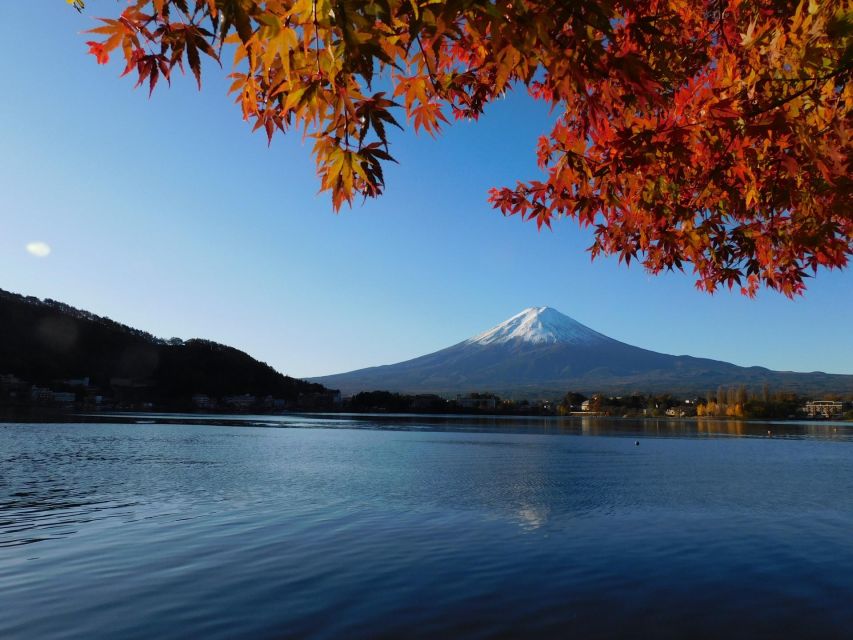 tokyo:Hakone Owakudani & Gotemba Premium Outlet 1d Tour - Guide and Group Experience: What the Ratings Hint at