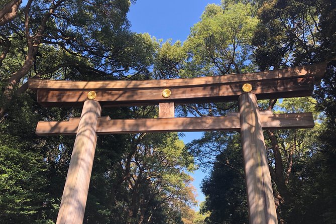 Tokyo Half-day Customized Private Tour - Key points to know before you go