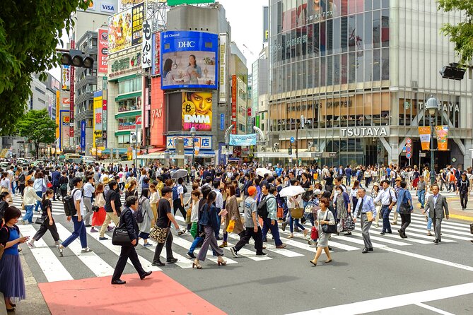 Tokyo Half-day Customized Private Tour - Transportation reality check: what is included, what is not