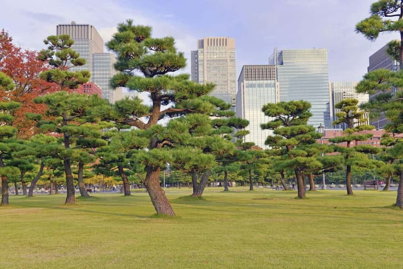 Tokyo: Half-Day Morning Small Group Tour - Asakusa and Nakamise-dori: street time with a guide’s direction