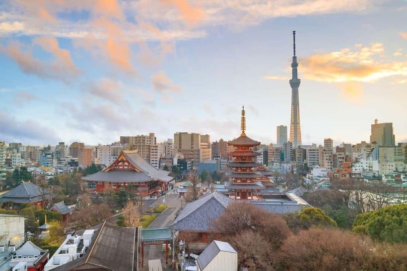 Tokyo: Half-Day Morning Small Group Tour - Price and value: $59 for a guided arc you can repeat