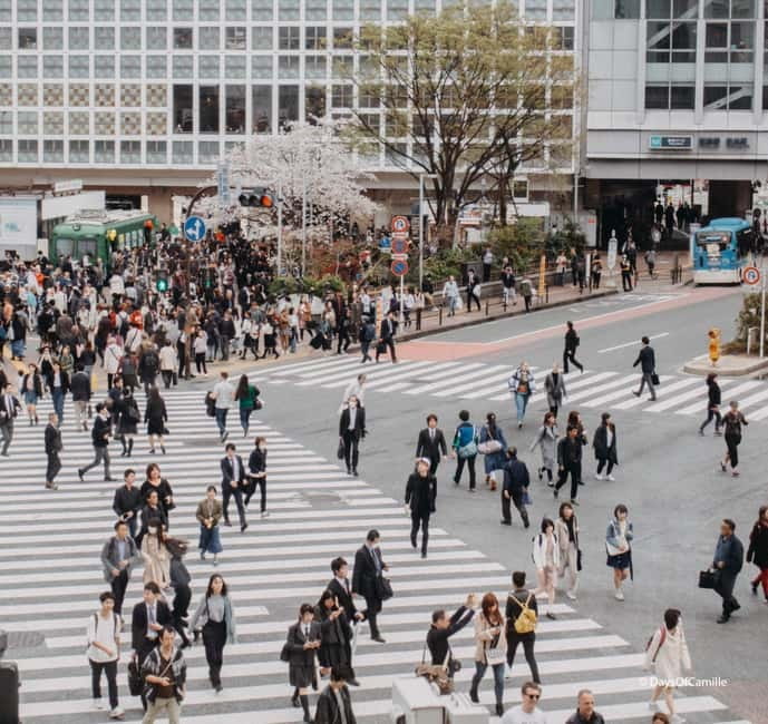 Tokyo, half day : private tour with an expert ! - Key highlights before you go