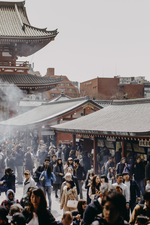 Tokyo, half day : private tour with an expert ! - Who this tour fits best