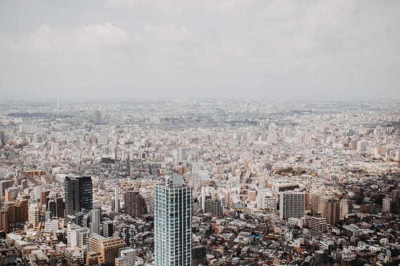 Tokyo, half day : private tour with an expert ! - The sweet spot: a 4-hour private Tokyo plan