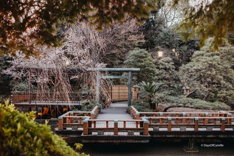Tokyo, half day : private tour with an expert ! - Asakusa pickup and the feel of the timing