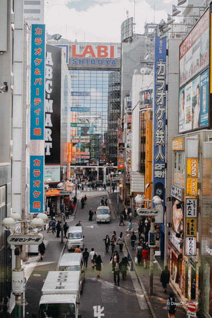 Tokyo, half day : private tour with an expert ! - What you actually get for the price