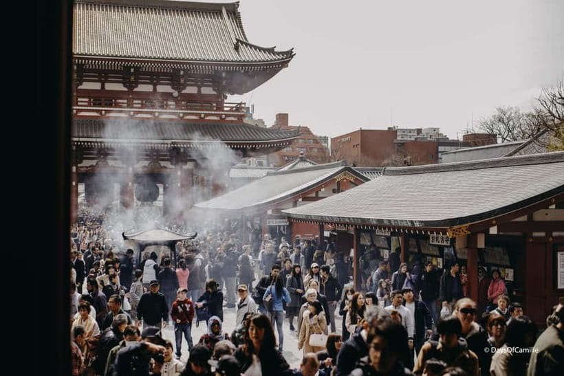 Tokyo, half day : private tour with an expert ! - Meiji Shrine forest: where Tokyo slows down
