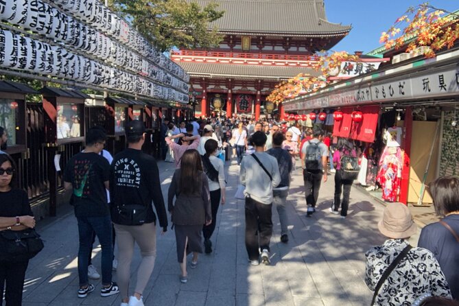 Tokyo Half Walking Day Tour with a Local Expert Guide - Hotel pickup, meeting points, and how to avoid a rough start