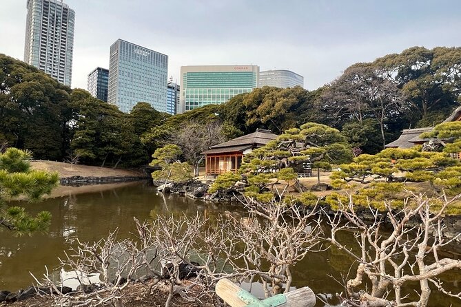 Tokyo: Hama-rikyu Gardens tour with Japanese Tea & Sweets - Key highlights I’d prioritize before you go