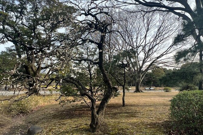 Tokyo: Hama-rikyu Gardens tour with Japanese Tea & Sweets - Price and value: is $85 fair for what you get?