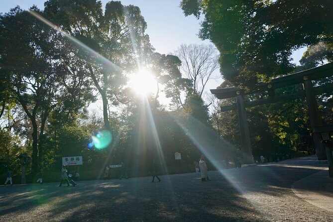 Tokyo: Harajuku Meiji Shrine to Shibuya Crossing Guided Tour - The walk to Shibuya: use the guide, then take your time