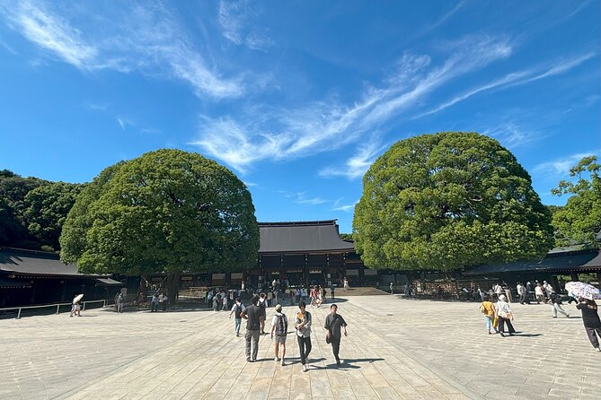 Tokyo Harajuku Walking Tour Meiji Jingu Yoyogi Park and More - What I’d do differently to get the most out of it