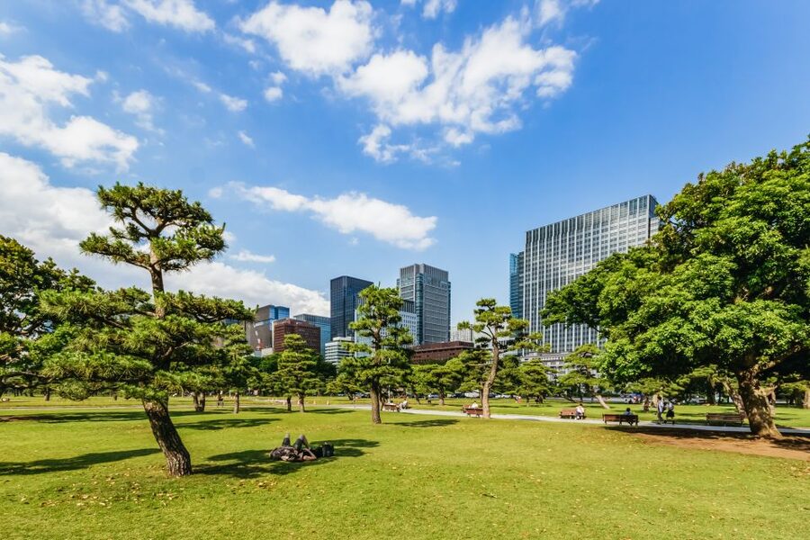 Tokyo: Hop-On Hop-Off Sightseeing Bus Ticket - Route 2: Tokyo Tower, Tsukiji, and Ginza in One Smooth Loop