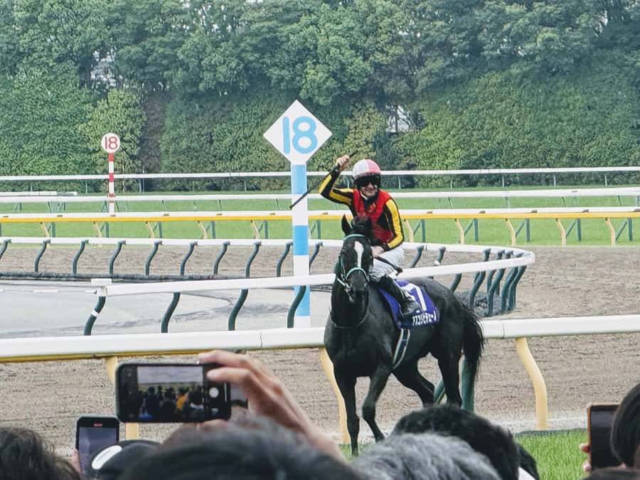 Tokyo: Horse Racing Tour with Local Fan - Key things you will notice