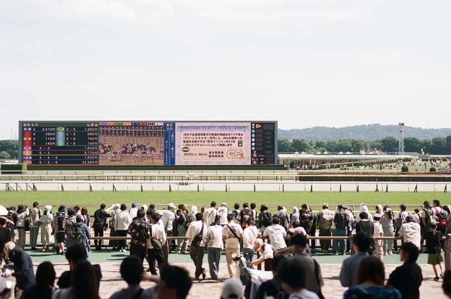 Tokyo: Horse Racing Tour with Local Fan - Getting in without stress: meeting point and reserved seating help