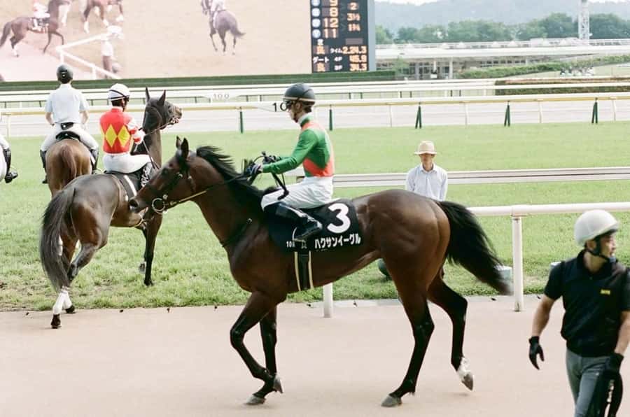 Tokyo: Horse Racing Tour with Local Fan - Getting there and back: train navigation without the guesswork
