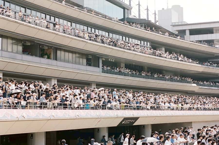 Tokyo: Horse Racing Tour with Local Fan - Price and value: $60 is not just a ticket, it is the translator plus the access