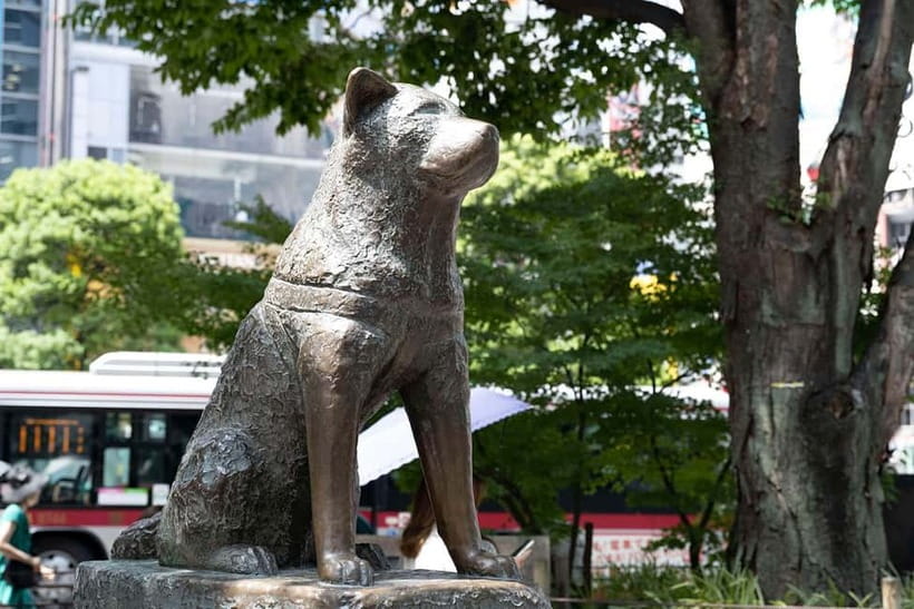 Tokyo: Iconic City Tour – Skytree, Shibuya & Imperial Palace - Why a private, 10-hour Tokyo route beats hopping trains all day