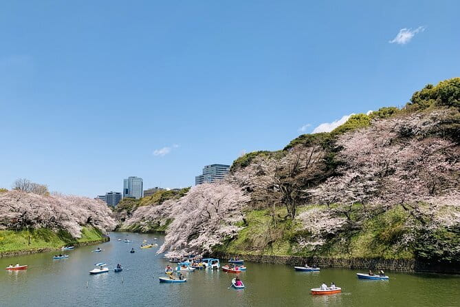 Tokyo Imperial Palace and Heritage of Edo Castle Private Tour - Pacing, comfort, and how to get the most from a 3-hour walk