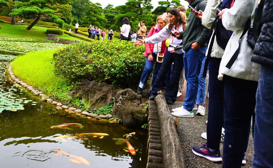 Tokyo: Imperial Palace Japanese History Walking Tour - Key Points Before You Go