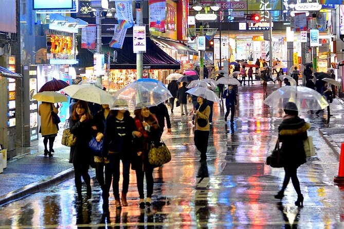 Tokyo in a Day : Private Tour to Shrine, Temples, Towers &Culture - Shibuya Crossing photos, then Shinjuku Gyoen if time permits
