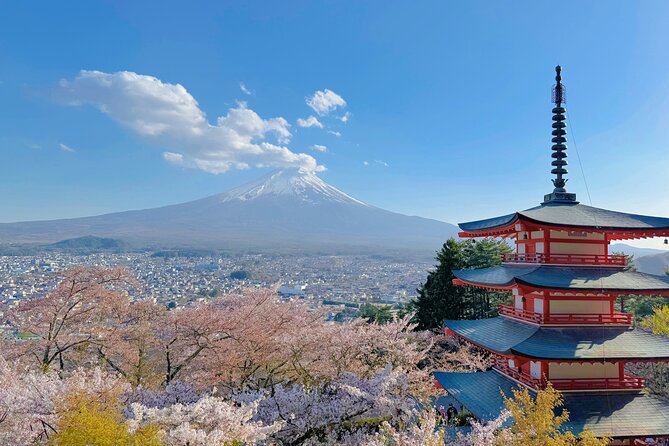 Tokyo: Instagram-Worthy Mt Fuji & Lake Kawaguchiko Day Trip - Arakurayama Sengen Park: Chureito Pagoda views and the real step count
