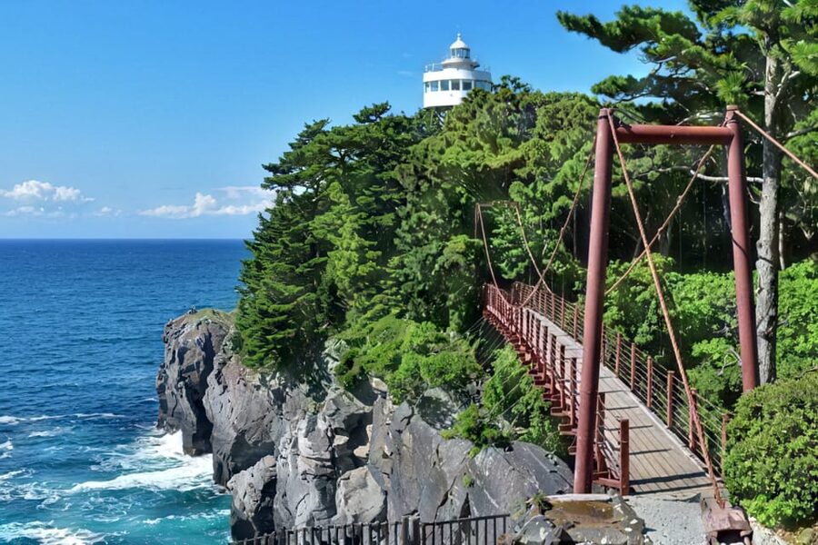 Tokyo:Izu Penisula Train Mt Omuro, Capybara Sightseeing Trip - What You Pay and What You Should Expect to Add